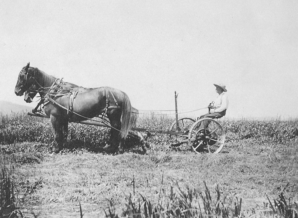 Sidney Gramp Hill with Horse Plow